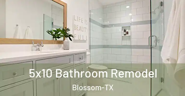 inner Bathroom imggen 5x10 Bathroom Remodel Blossom-TX