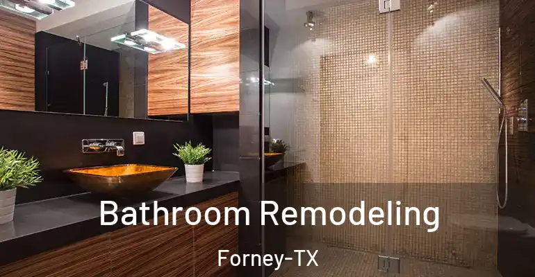inner Bathroom imggen Bathroom Remodeling Forney-TX