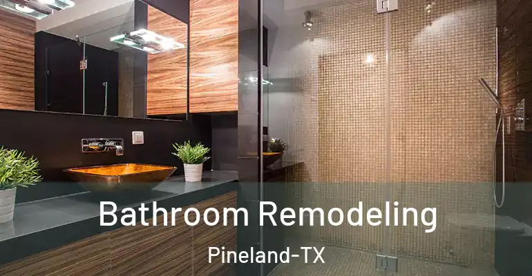 inner Bathroom imggen Bathroom Remodeling Pineland-TX