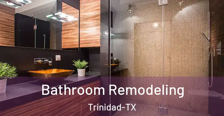 inner Bathroom imggen Bathroom Remodeling Trinidad-TX