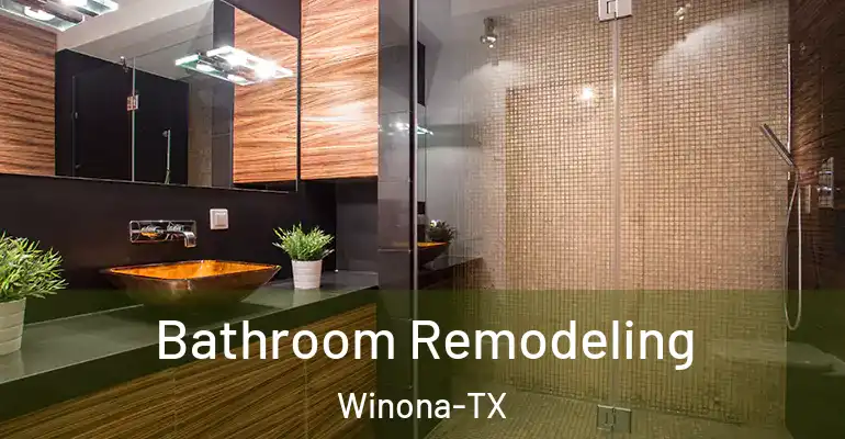 inner Bathroom imggen Bathroom Remodeling Winona-TX