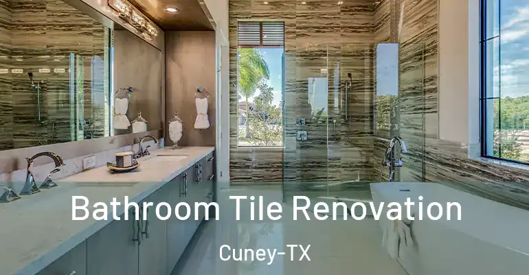 inner Bathroom imggen Bathroom Tile Renovation Cuney-TX