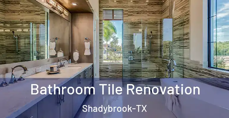 inner Bathroom imggen Bathroom Tile Renovation Shadybrook-TX