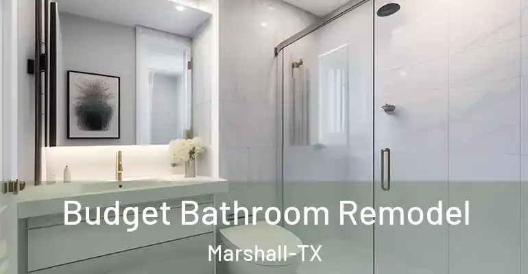 inner Bathroom imggen Budget Bathroom Remodel Marshall-TX