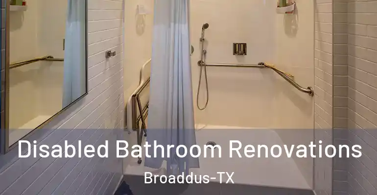 inner Bathroom imggen Disabled Bathroom Renovations Broaddus-TX