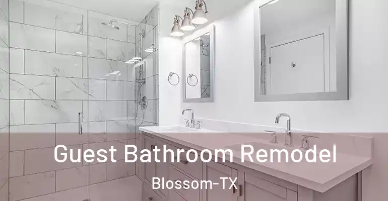 inner Bathroom imggen Guest Bathroom Remodel Blossom-TX