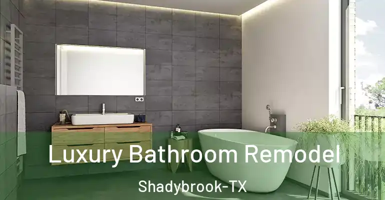 inner Bathroom imggen Luxury Bathroom Remodel Shadybrook-TX