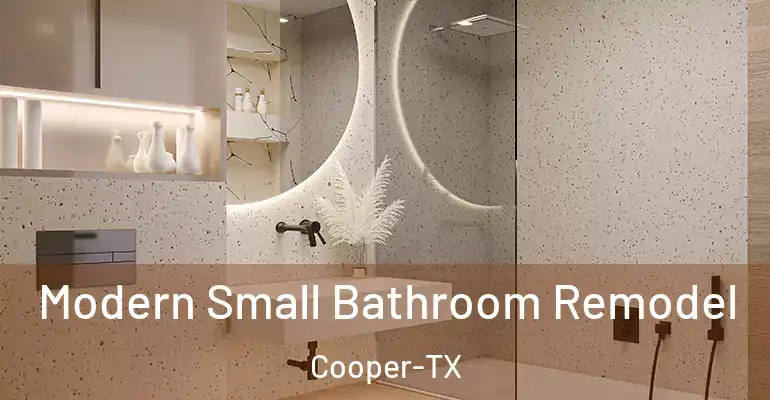 inner Bathroom imggen Modern Small Bathroom Remodel Cooper-TX