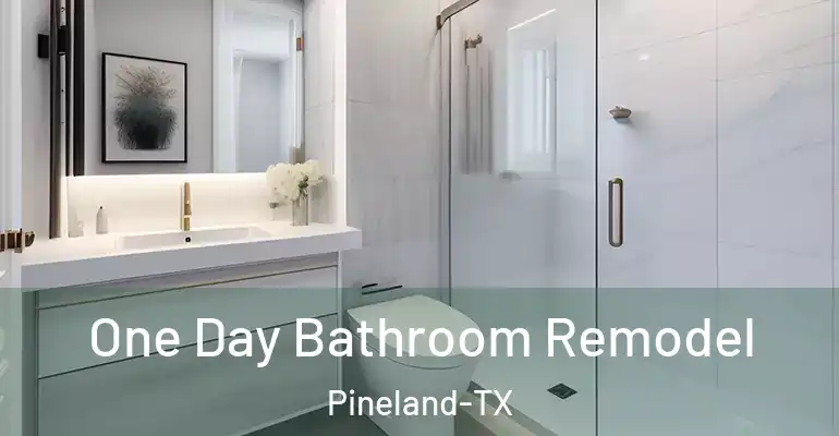 inner Bathroom imggen One Day Bathroom Remodel Pineland-TX