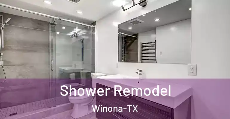 inner Bathroom imggen Shower Remodel Winona-TX