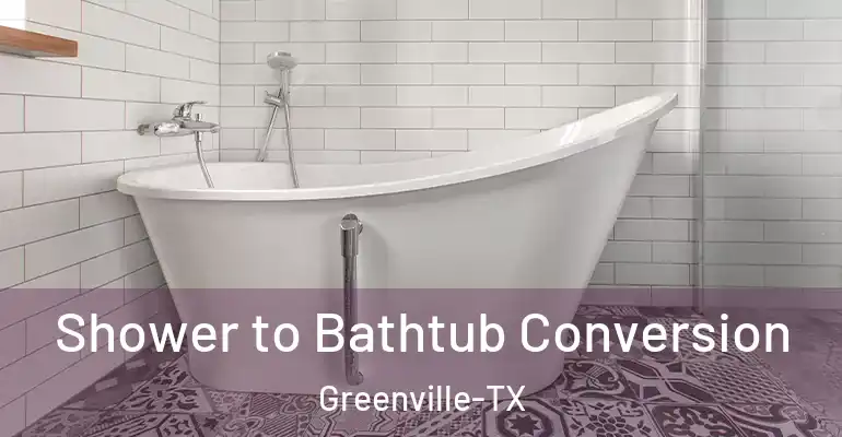 inner Bathroom imggen Shower to Bathtub Conversion Greenville-TX