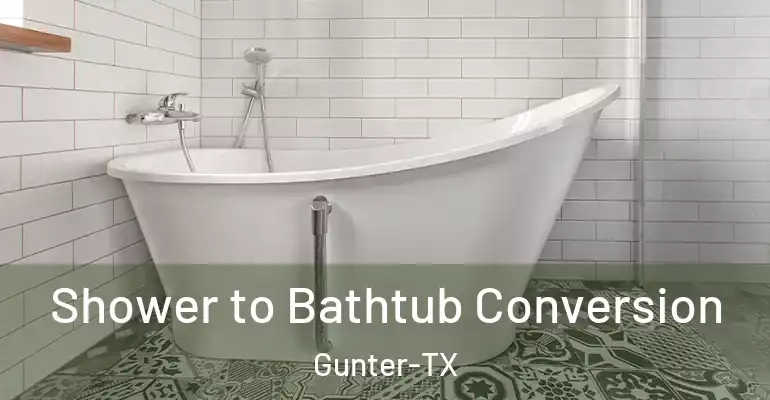 inner Bathroom imggen Shower to Bathtub Conversion Gunter-TX