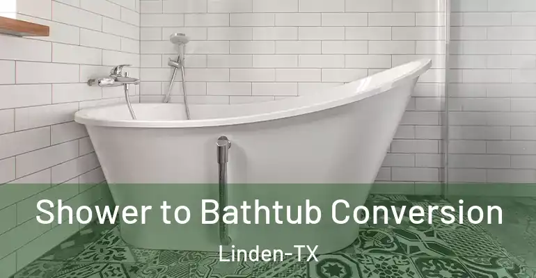 inner Bathroom imggen Shower to Bathtub Conversion Linden-TX