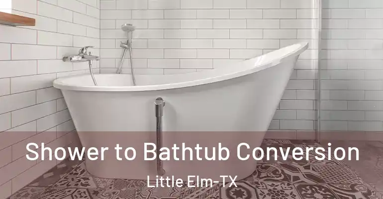 inner Bathroom imggen Shower to Bathtub Conversion Little Elm-TX