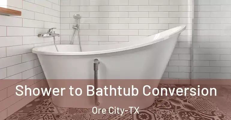 inner Bathroom imggen Shower to Bathtub Conversion Ore City-TX