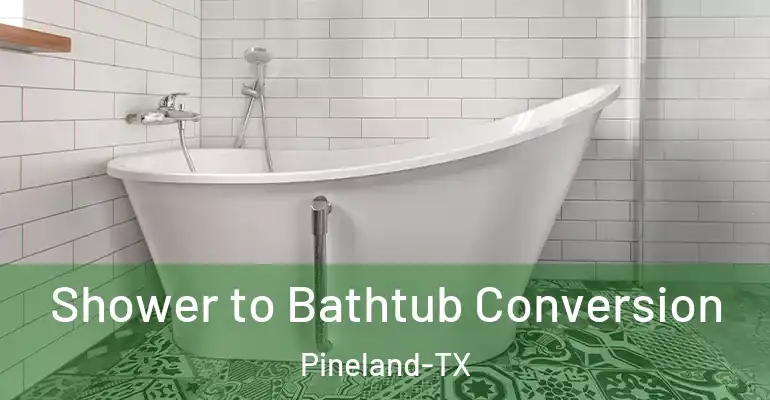 inner Bathroom imggen Shower to Bathtub Conversion Pineland-TX