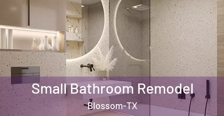 inner Bathroom imggen Small Bathroom Remodel Blossom-TX