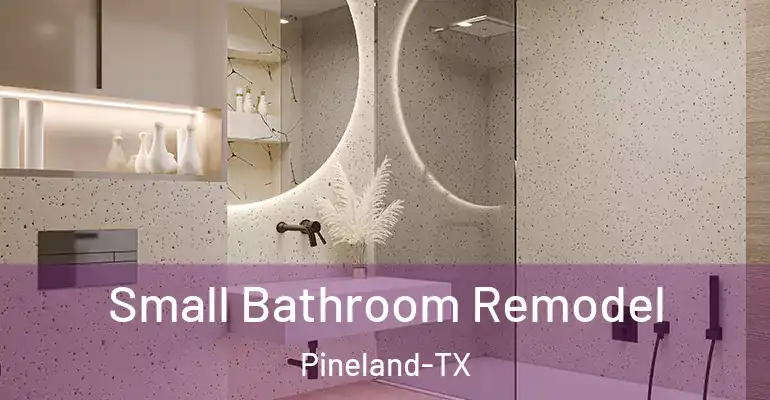 inner Bathroom imggen Small Bathroom Remodel Pineland-TX