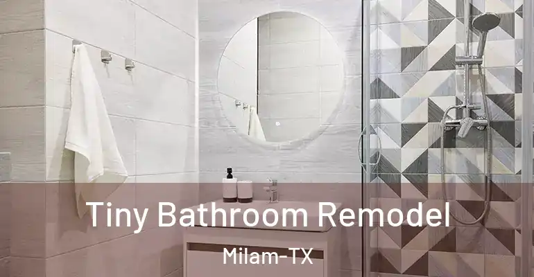 inner Bathroom imggen Tiny Bathroom Remodel Milam-TX