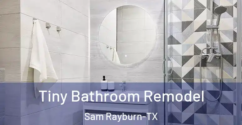 inner Bathroom imggen Tiny Bathroom Remodel Sam Rayburn-TX