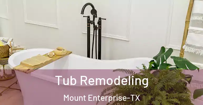 inner Bathroom imggen Tub Remodeling Mount Enterprise-TX