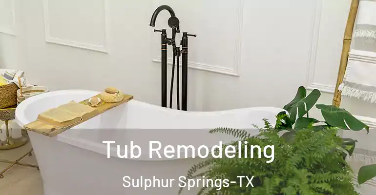 inner Bathroom imggen Tub Remodeling Sulphur Springs-TX
