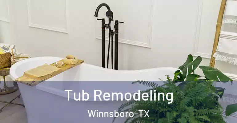 inner Bathroom imggen Tub Remodeling Winnsboro-TX