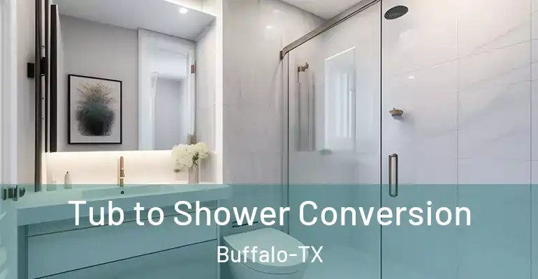 inner Bathroom imggen Tub to Shower Conversion Buffalo-TX