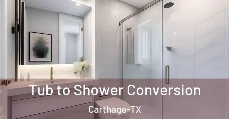 inner Bathroom imggen Tub to Shower Conversion Carthage-TX