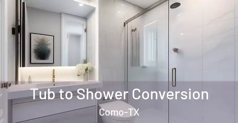 inner Bathroom imggen Tub to Shower Conversion Como-TX