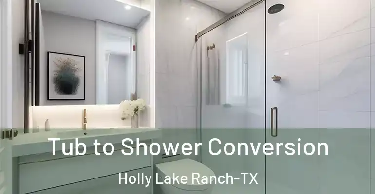 inner Bathroom imggen Tub to Shower Conversion Holly Lake Ranch-TX