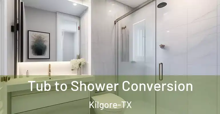 inner Bathroom imggen Tub to Shower Conversion Kilgore-TX