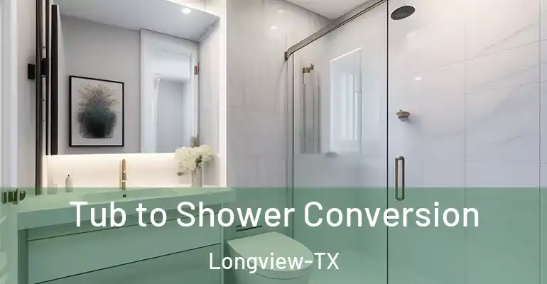 inner Bathroom imggen Tub to Shower Conversion Longview-TX