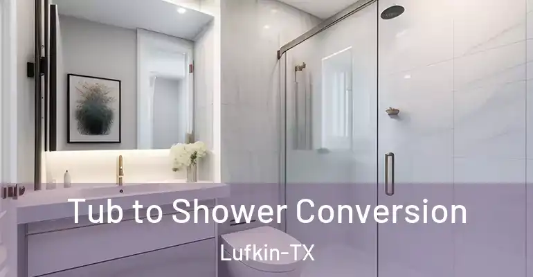 inner Bathroom imggen Tub to Shower Conversion Lufkin-TX