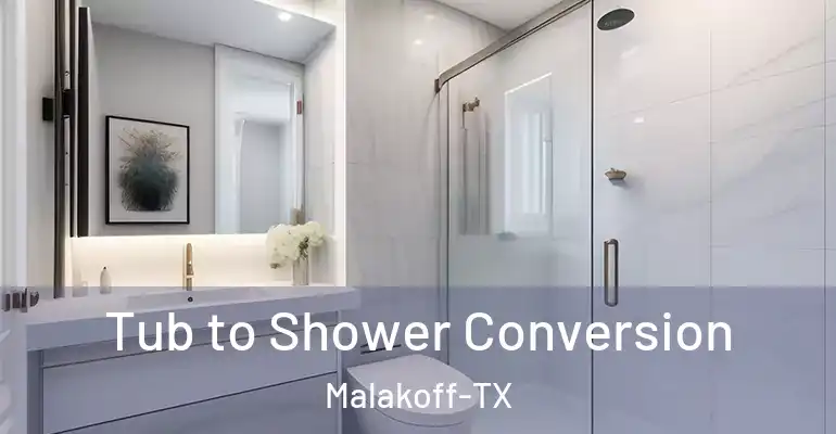 inner Bathroom imggen Tub to Shower Conversion Malakoff-TX