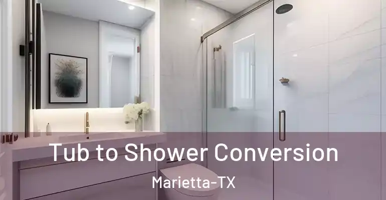 inner Bathroom imggen Tub to Shower Conversion Marietta-TX
