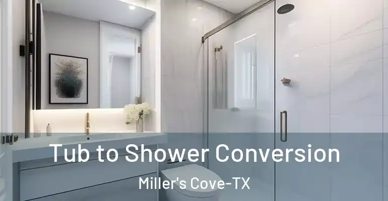 inner Bathroom imggen Tub to Shower Conversion Miller's Cove-TX