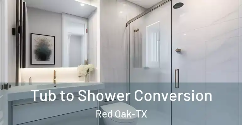 inner Bathroom imggen Tub to Shower Conversion Red Oak-TX