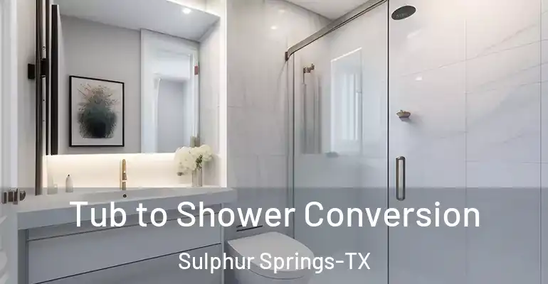 inner Bathroom imggen Tub to Shower Conversion Sulphur Springs-TX